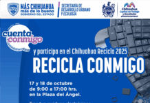 Invitan Estado y Municipio a “Chihuahua Recicla 2025”; intercambia basura por árboles