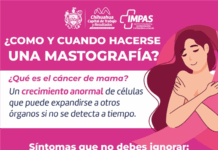 Pide IMPAS informarse sobre el cáncer de mama para prevenir la enfermedad