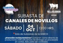 Chihuahua impulsa el consumo local de carne de calidad con Subasta de Canales de Novillo Gordo