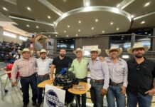 Impulsa SDR alternativas de comercialización con subastas de novillos en Expogan 2025