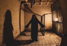 Invita Estado a visitar la Casa de Terror “El Sótano” en el Parque Central Oriente