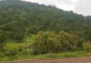 lluvia