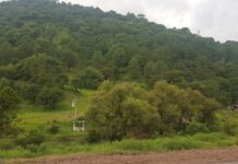 Provocarán frentes fríos 8 y 9 descenso de temperatura en la Sierra Tarahumara