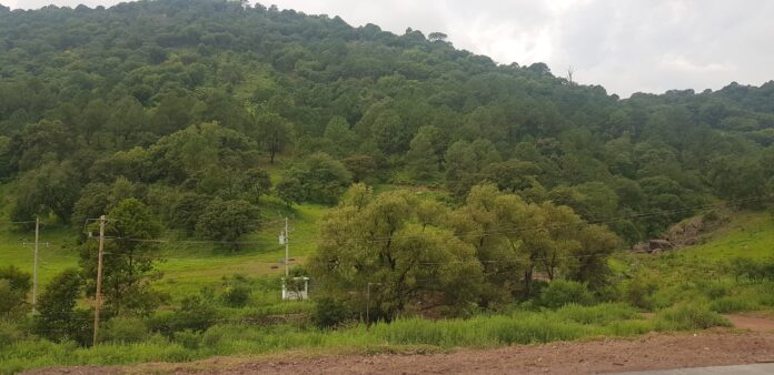 lluvia