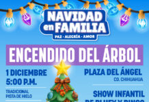 Invita Estado al tradicional encendido del Árbol de Navidad