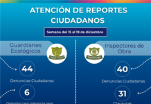 Atienden Guardianes Ecológicos del Municipio más de 200 reportes e inspecciones en una semana