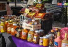 Éxito rotundo en la Expo Aldama: Sotol, nueces y membrillo 2025
