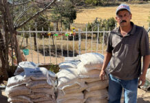 Respalda Estado a 240 familias indígenas de Guerrero con entrega de 4.8 toneladas de maíz y frijol