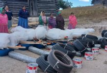Distribuye Estado 92 toneladas de maíz y frijol a habitantes de la Sierra Tarahumara