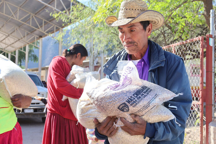 apoyo alimentario