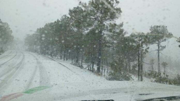 frío nieve