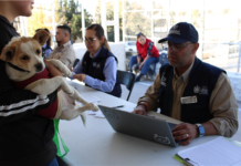 Acerca Municipio servicios gratuitos para animales de compañía en colonia Cerro de la Cruz