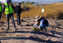 Un éxito primera Jornada de Reforestación del Río Sacramento