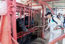 Fortalece Gobierno del Estado la sanidad agropecuaria en la entidad