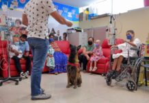 Reciben pacientes pediátricos con enfermedades crónicas atención integral en 4 áreas específicas