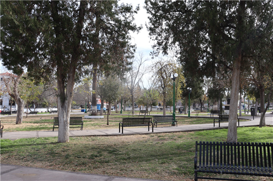plantas parque
