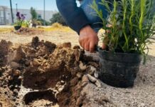Inicia SSPE programa de reforestación en el Complejo Estatal de Seguridad Pública en la capital