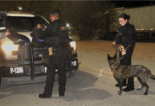 Recuperó Policía Municipal 14 vehículos, aseguró 17 armas y detuvo 256 personas en enero