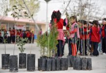 Entrega Estado 650 árboles a 32 primarias del suroriente de Ciudad Juárez