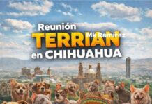 Aclara Municipio que no existe solicitud para realizar evento therian en el Parque El Palomar