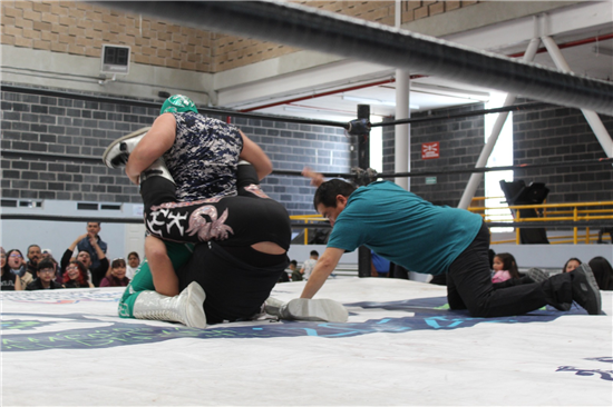 lucha