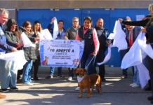 Ciudadanos han dado nuevo hogar a perros y gatos con programa de adopción del Municipio