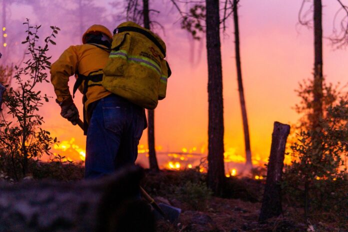 incendio forestal