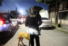 Refuerza Policía Municipal vigilancia durante operativo de Semana Santa para prevenir robo a casa habitación