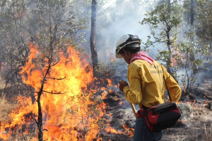 incendios