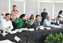 Avanza el análisis de la reforma electoral y municipal