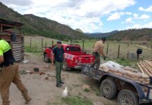 Entrega Gobierno del Estado apoyos a familias afectadas por incendio forestal en el municipio de Guerrero