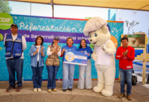 Planta Municipio 150 árboles en el CDII Norte junto con Grupo Bimbo y sociedad civil
