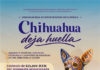 Últimos días para ser parte de la convocatoria del Municipio “Chihuahua deja huella” 31332 1