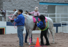 Ofrece IMPAS servicio de Equinoterapia para apoyar el desarrollo y rehabilitación