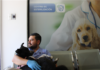 esterilizacion salud perritos mascotas