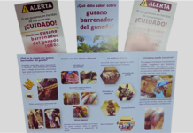 Refuerza Municipio acciones preventivas ante el gusano barrenador con capacitación de SENASICA