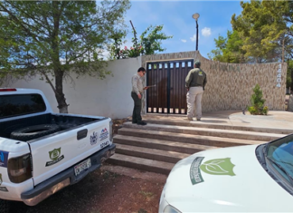 Atiende Desarrollo Urbano del Municipio 113 reportes ambientales y de obra en la ciudad reportes ambientales