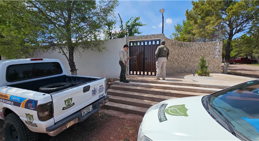 Atiende Desarrollo Urbano del Municipio 113 reportes ambientales y de obra en la ciudad