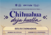 Anuncia Gobierno Municipal a los 15 artistas seleccionados de la convocatoria “Chihuahua Deja Huella” 31520 2