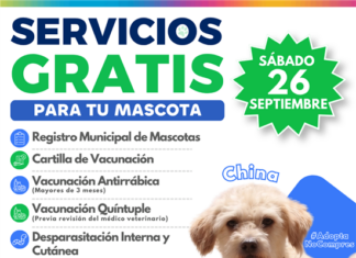 Invita Municipio a jornada gratuita de vacunación para animales de compañía en Vistas Cerro Grande 31638 1