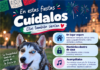 Protege a tus animalitos del ruido de la pirotecnia en estas fiestas patrias: Municipio perritos mascotas pirotecnia