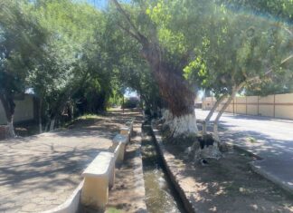 Aldama