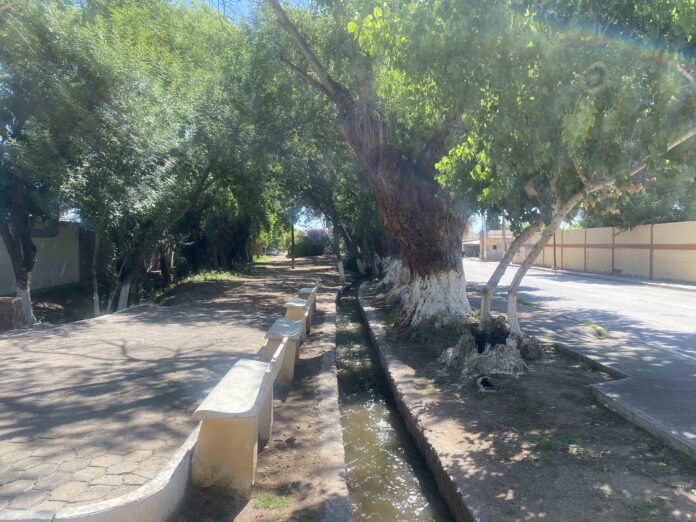 Aldama