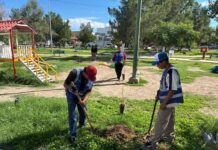 Arranca Gobierno del Estado jornada de reforestación en el Fraccionamiento Monumental